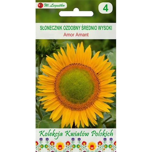 Slonecznik ozdobny Amor Amant interface.image 1 interface.art 86736