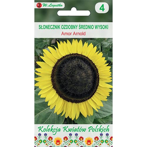 Słonecznik ozdobny Amor Arnold interface.image 1 interface.art 86731