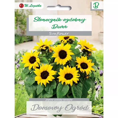Słonecznik ozdobny Baver interface.image 1 interface.art 69662