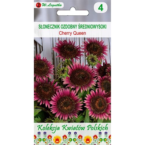 Słonecznik ozdobny Cherry Queen interface.image 1 interface.art 96749