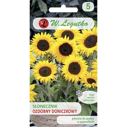 Słonecznik ozdobny Polino Cola interface.image 1 interface.art 69627