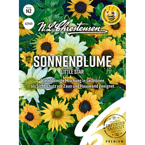 Slonecznik ozdobny Little Star, mix kolorow interface.image 1 interface.art 86189