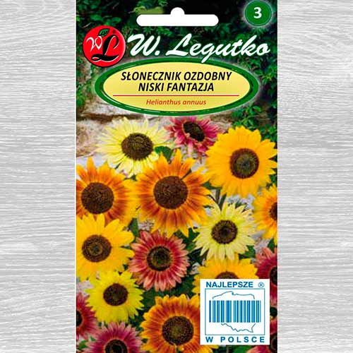 Słonecznik ozdobny niski Fantazja, mieszanka Legutko interface.art zdjęcie 1 Słonecznik ozdobny niski Fantazja, mieszanka Legutko interface.image 1 interface.art 69630
