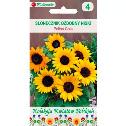 Słonecznik ozdobny doniczkowy Polino Cola, mix interface.image 1 interface.art 86735