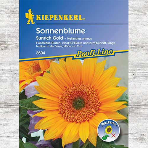 Słonecznik ozdobny Sunrich Gold F1 interface.art zdjęcie 1 Słonecznik ozdobny Sunrich Gold F1 interface.image 1 interface.art 86328