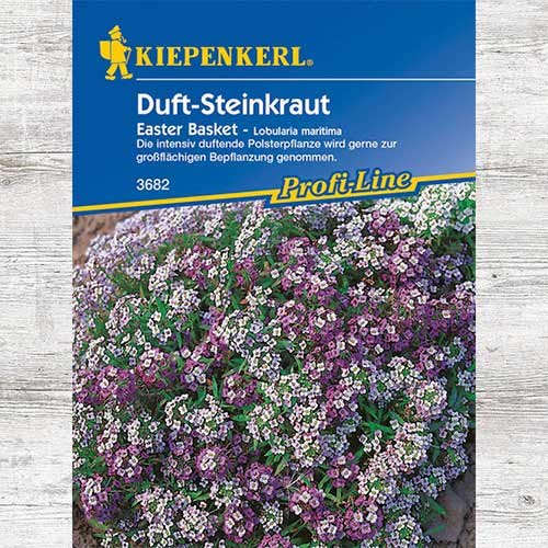 Smagliczka nadmorska Easter Bonnet interface.image 1 interface.art 86284