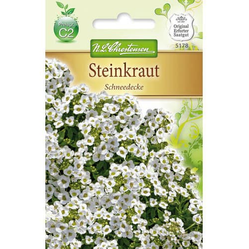 Smagliczka (Alyssum) Schneedecke interface.image 1 interface.art 78920