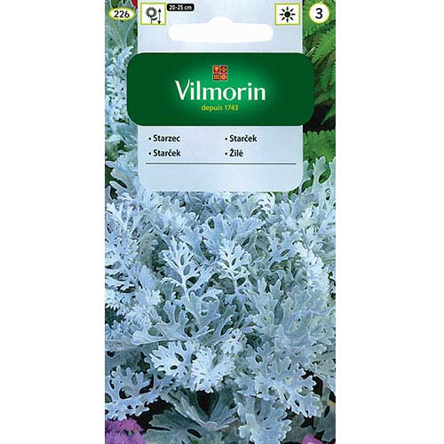 Starzec popielny (Mrozy) Vilmorin interface.image 1 interface.art 77686