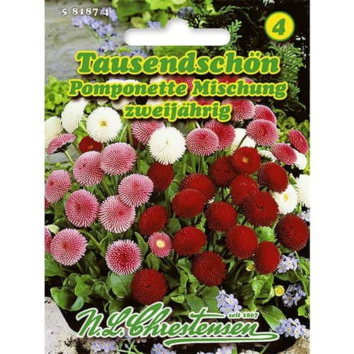 Stokrotka Pomponette, mix kolorow interface.image 1 interface.art 86124