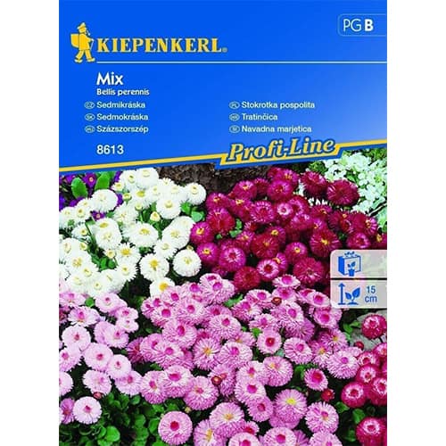 Stokrotka pospolita, mix kolorow interface.art zdjęcie 1 Stokrotka pospolita, mix kolorow interface.image 1 interface.art 86255