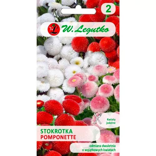 Stokrotka pospolita Pomponette, mix interface.art zdjęcie 1 Stokrotka pospolita Pomponette, mix interface.image 1 interface.art 69631