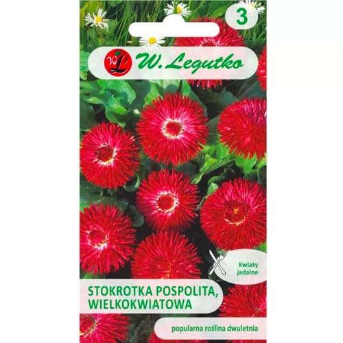 Stokrotka Gracja czerwona interface.image 1 interface.art 78616