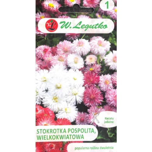 Stokrotka pospolita wielkokwiatowa, mix interface.image 1 interface.art 50122