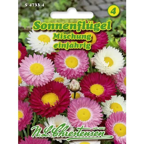 Sucholuska, mix kolorow interface.art zdjęcie 1 Sucholuska, mix kolorow interface.image 1 interface.art 96427