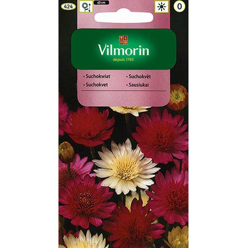 Suchokwiat roczny, mieszanka Vilmorin interface.image 1 interface.art 77687