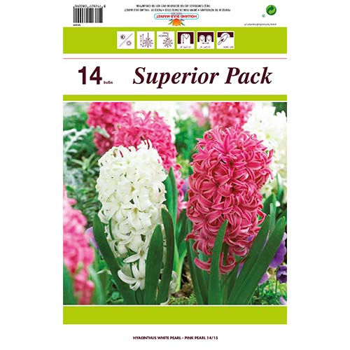 Super oferta! Hiacynt Pearl, zestaw 14 cebul interface.image 1 interface.art 67550