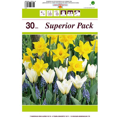 Super oferta! Narcyz, Tulipan, Szafirek armeński, zestaw 30 cebul interface.image 1 interface.art 67902