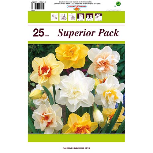 Super oferta! Narcyz pełny mix kolorów, zestaw 25 cebul interface.image 1 interface.art 70317