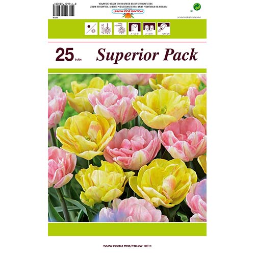 Super oferta! Tulipan, zestaw 2 odmian interface.art zdjęcie 1 Super oferta! Tulipan, zestaw 2 odmian interface.image 1 interface.art 70316