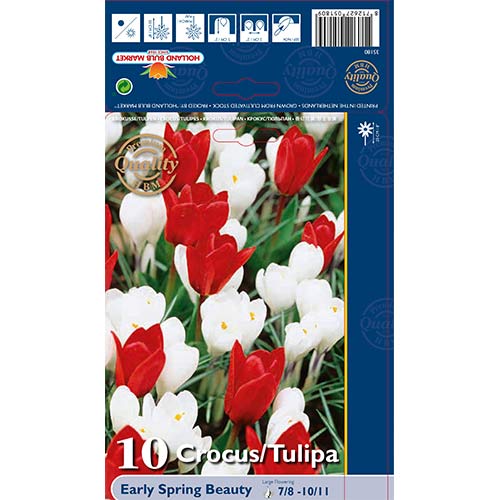 Super oferta! Tulipan, Krokus Early Spring Beauty, zestaw 10 cebul interface.image 1 interface.art 67543