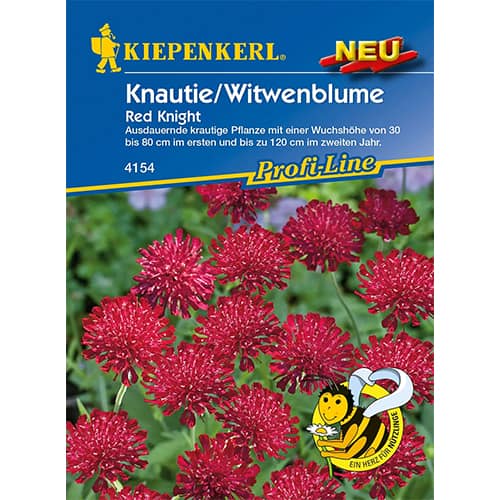 Knautia macedonica Red Knight interface.art zdjęcie 1 Knautia macedonica Red Knight interface.image 1 interface.art 96551