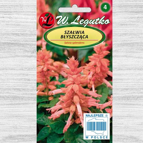 Szałwia błyszcząca łososiowa interface.image 1 interface.art 78588