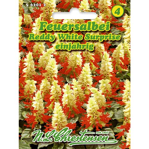 Szalwia Reddy White Surprise interface.image 1 interface.art 86185