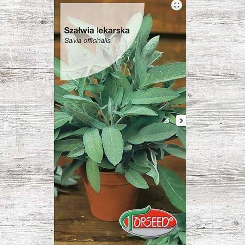 Szałwia lekarska, nasiona interface.image 1 interface.art 87030