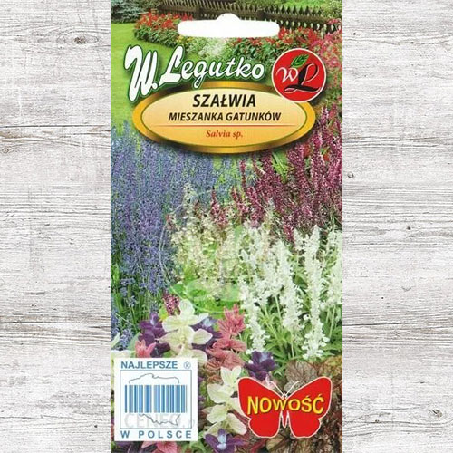 Szałwia, mieszanka gatunków Legutko interface.image 1 interface.art 87115