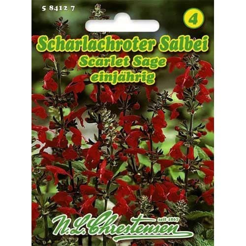 Szalwia Scarlet Sage interface.image 1 interface.art 96446