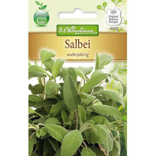 Szalwia wieloletnia interface.art zdjęcie 1 Szalwia wieloletnia interface.image 1 interface.art 78869