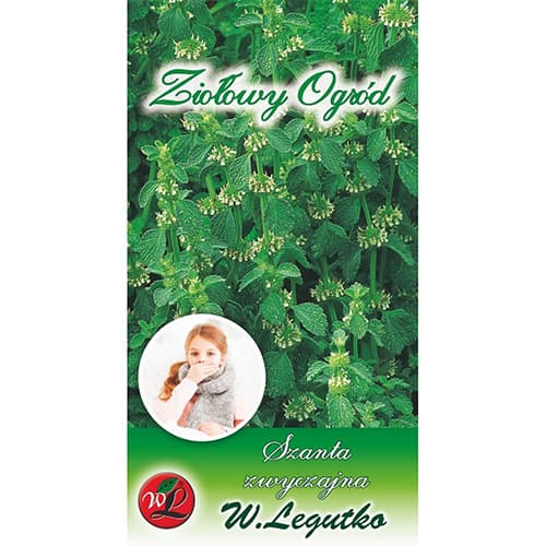 Szanta zwyczajna interface.image 1 interface.art 69689