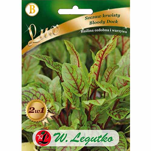 Szczaw krwisty Bloody Dock Legutko interface.art zdjęcie 1 Szczaw krwisty Bloody Dock Legutko interface.image 1 interface.art 96822