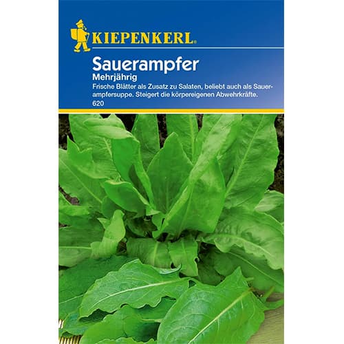 Szczaw zwyczajny interface.image 1 interface.art 77474