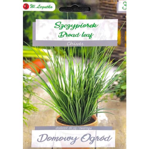 Cebula szczypiorek Broad Leaf interface.image 1 interface.art 69656