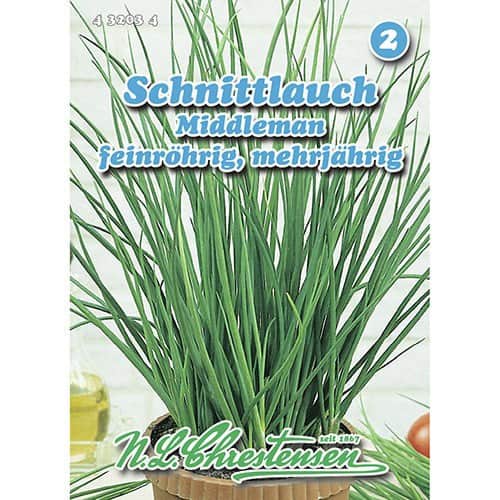 Cebula szczypiorek Middleman interface.image 1 interface.art 96493