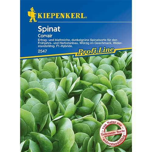 Szpinak Corvair F1 interface.image 1 interface.art 86533