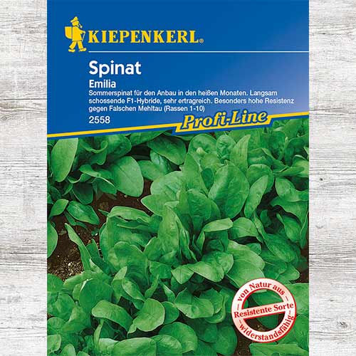 Szpinak Emilia F1 interface.image 1 interface.art 86534