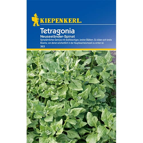 Szpinak Neuseelander interface.image 1 interface.art 77497