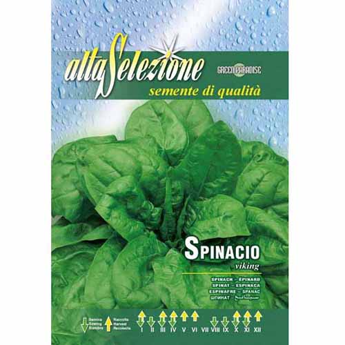 Szpinak Viking Morami interface.image 1 interface.art 87179