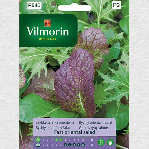 Szybka sałatka orientalna interface.image 1 interface.art 69704