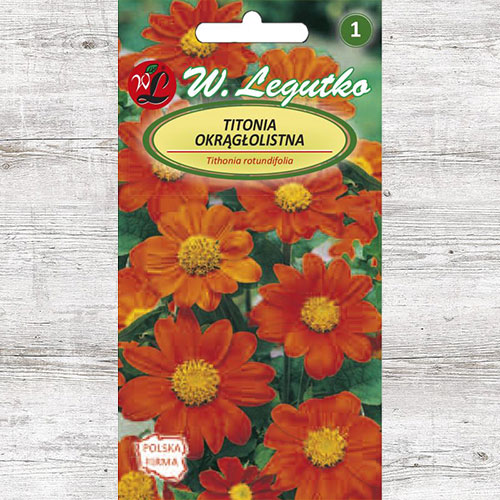 Titonia cynobrowa Legutko interface.image 1 interface.art 87092