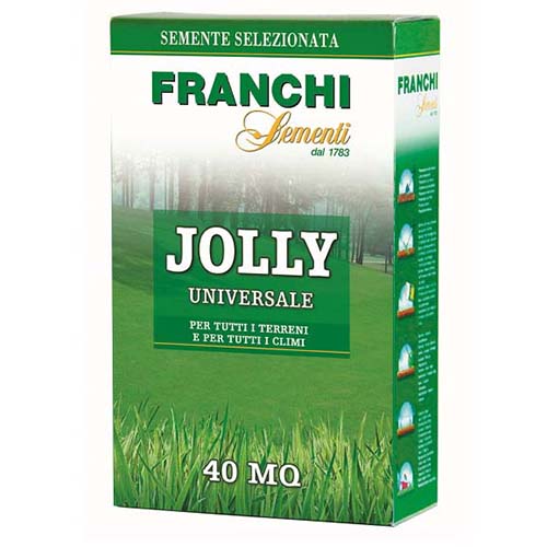 Trawa gazonowa na trawnik Jolly Morami interface.art zdjęcie 1 Trawa gazonowa na trawnik Jolly Morami interface.image 1 interface.art 87210