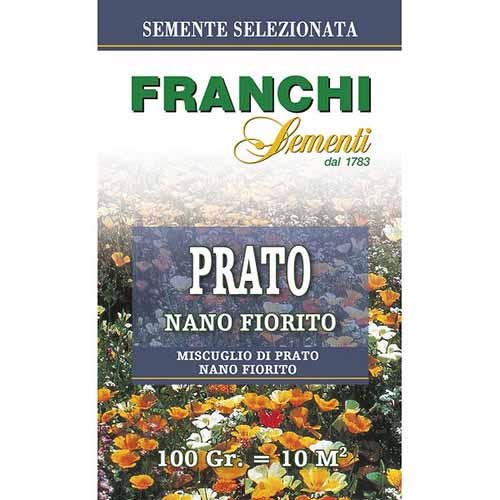 Trawa gazonowa na trawnik z nasionami kwiatów Nano Fiorito Morami interface.art zdjęcie 1 Trawa gazonowa na trawnik z nasionami kwiatów Nano Fiorito Morami interface.image 1 interface.art 87212