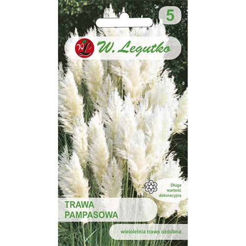 Trawa pampasowa biała interface.art zdjęcie 1 Trawa pampasowa biała interface.image 1 interface.art 69634