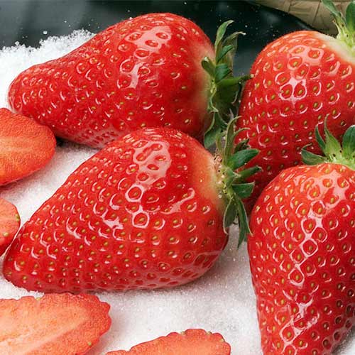 Truskawka Alba interface.image 1 interface.art 5391