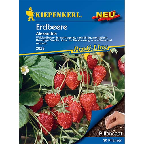 Poziomka Alexandria interface.image 1 interface.art 50010