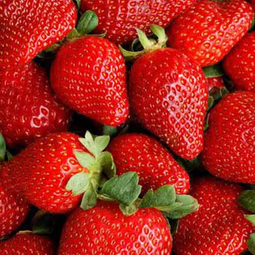 Truskawka Asia interface.image 1 interface.art 9835