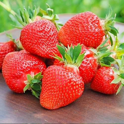 Truskawka Clery interface.image 1 interface.art 9833