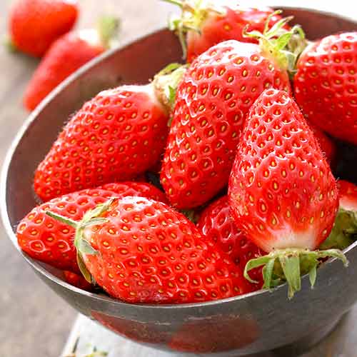 Truskawka Gariguette interface.image 1 interface.art 5197